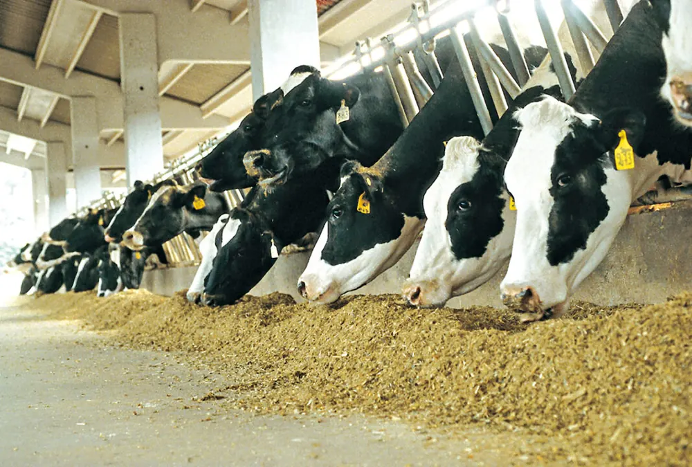 Integratori, Specialità e Componenti Nutrizionali